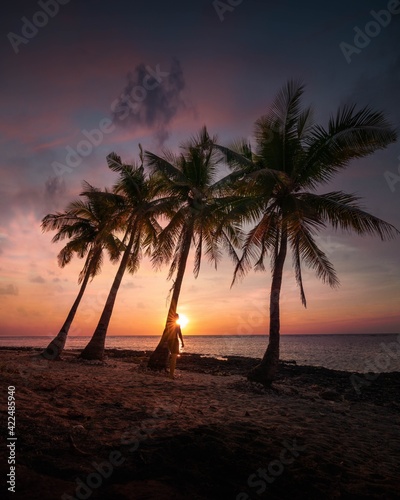 Sunset with palm trees at a beach in the Philippines. 