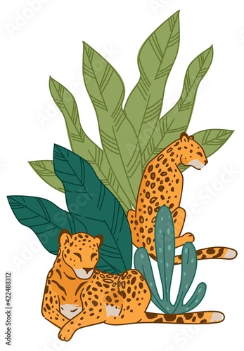 Leopard animals in natural habitat or zoo park