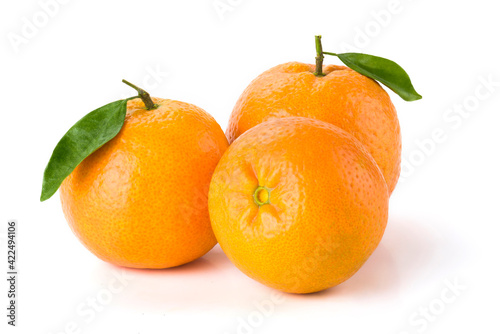 The oranges isolated on white background