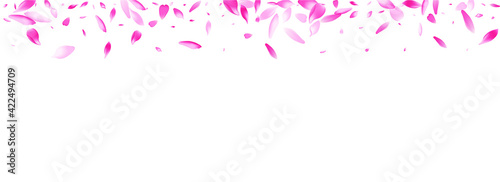 Color Lotus Petal Vector Panoramic Background. Purple Valentine Apple Petal Frame. Cherry Petal Bright Backdrop. Falling Sakura Petal Texture.
