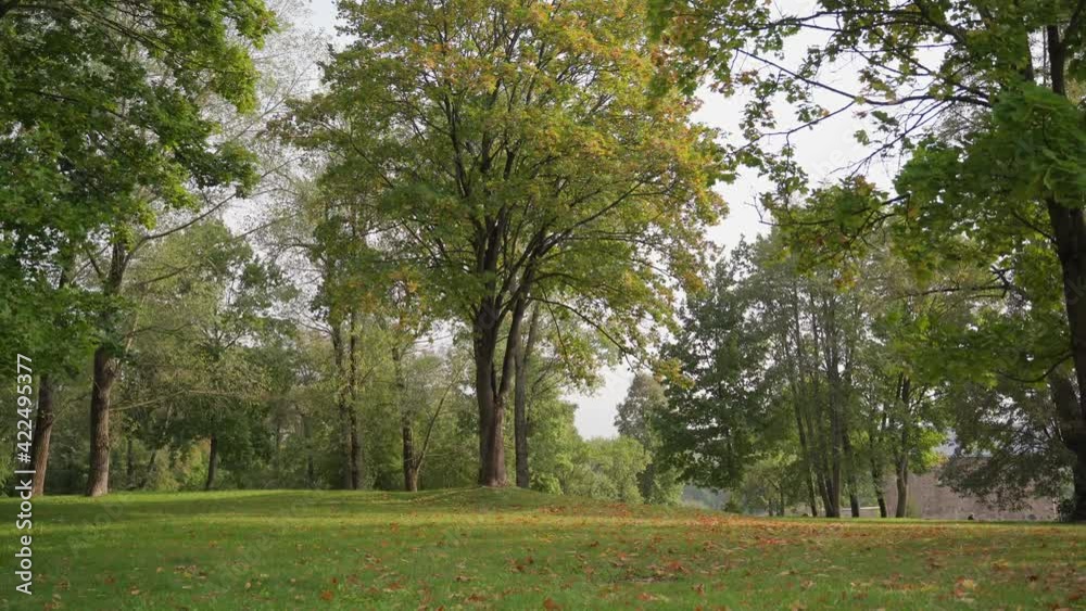Autumn. Leaves move in the wind and fall to the ground. Beautiful shots of nature. Can be used as background. The concept of appeasement Autumn. Leaves move in the wind and fall to the ground. Beautiful shots of nature. Can be used as background. The concept of appeasement
