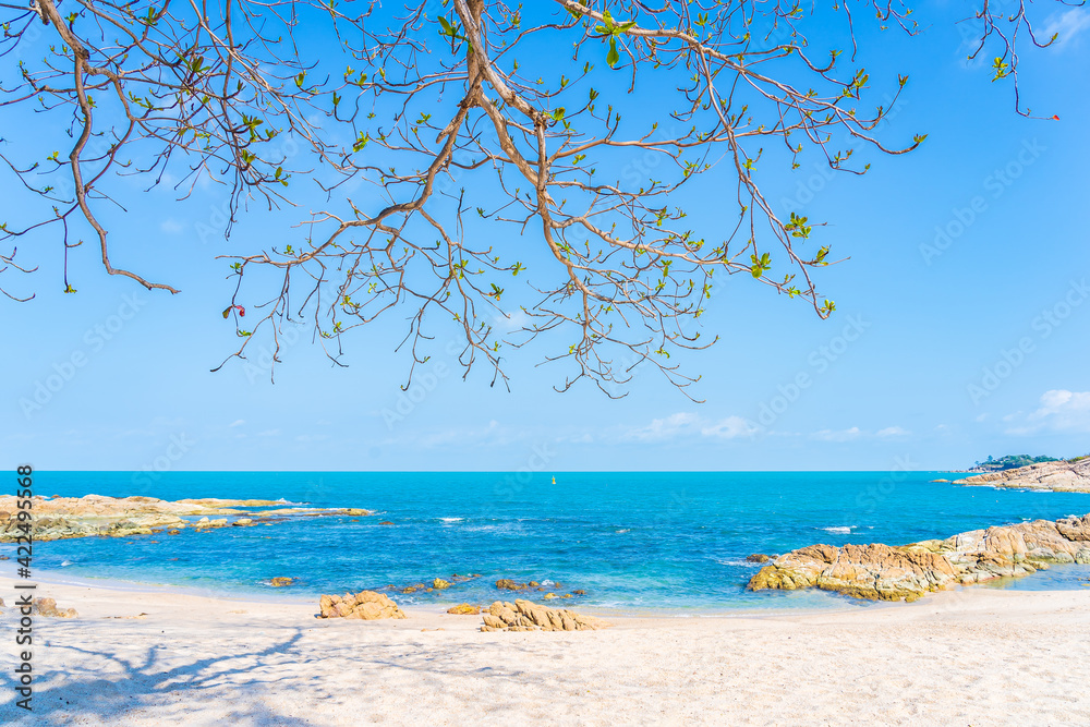Beautiful tropical beach sea ocean with coconut palm tree Beautiful tropical beach sea ocean with coconut palm tree
