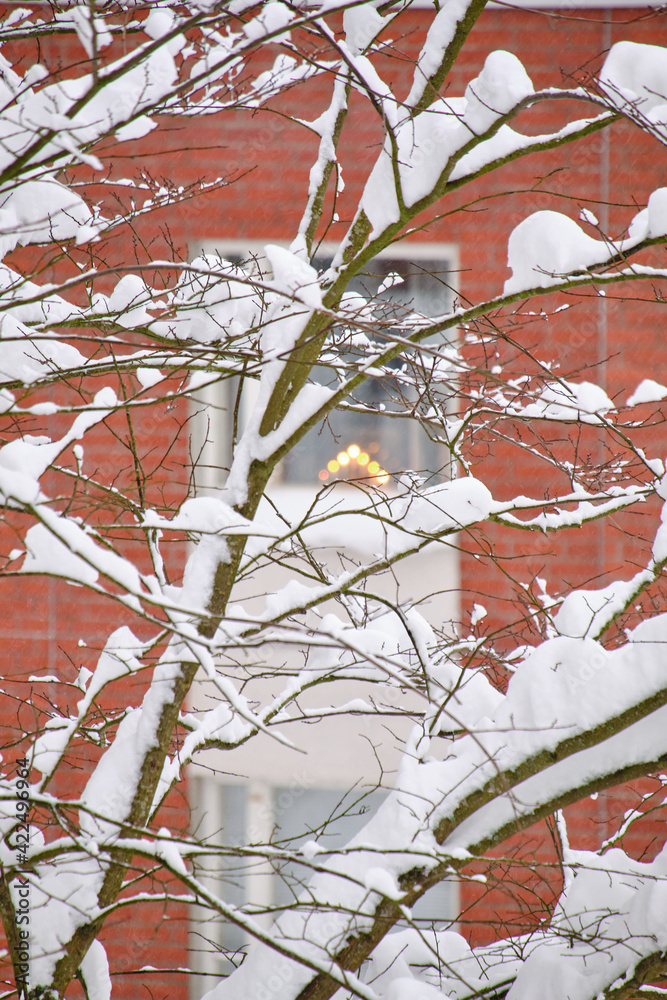 The snow-covered tree on the background red brick wall of the residential apartment building in Finland.