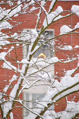 Obraz na płótnie The snow-covered tree on the background red brick wall of the residential apartment building in Finland. w salonie