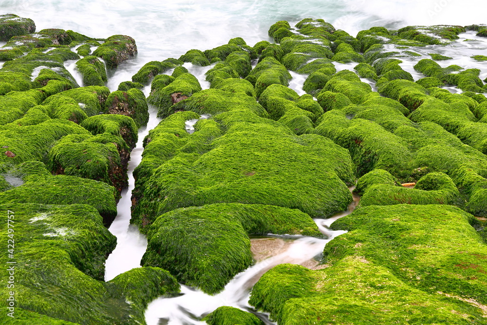 Fototapeta premium Laomei Green Reef, volcanic rocks with seasonal algae in Shimen District, New Taipei City, Taiwan