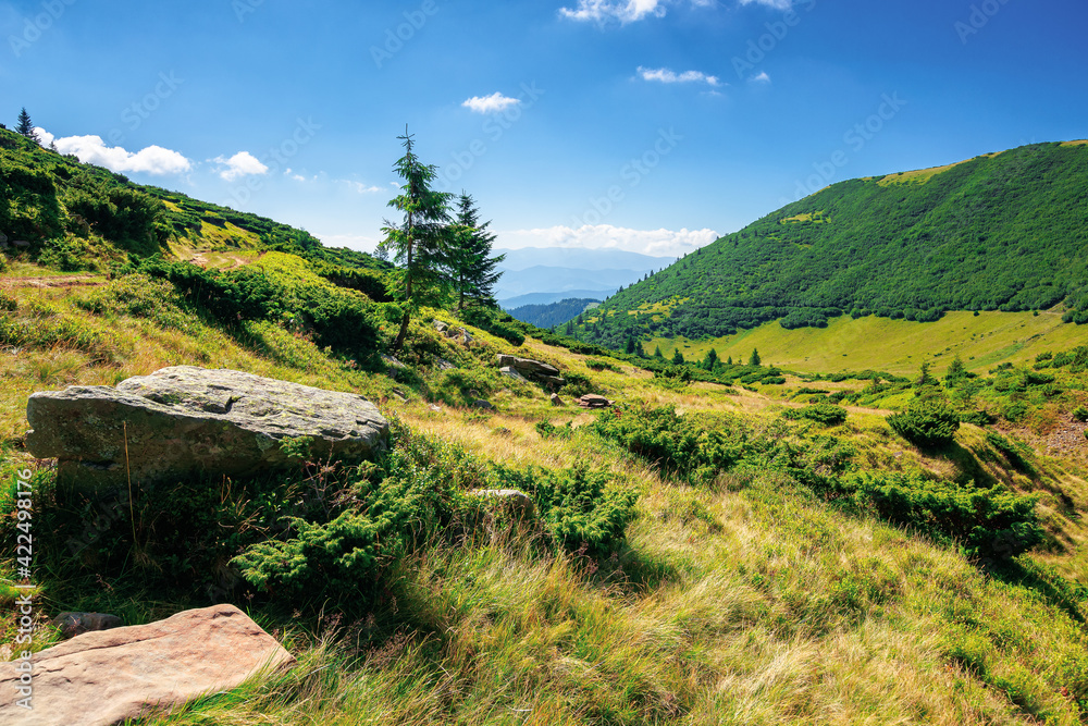 mountain landscape on a summer day. trees on the grassy hill. scenery rolling down the valley in to the distant view. blue sky with clouds above the black ridge. wonderful adventures in carpathians mountain landscape on a summer day. trees on the grassy hill. scenery rolling down the valley in to the distant view. blue sky with clouds above the black ridge. wonderful adventures in carpathians