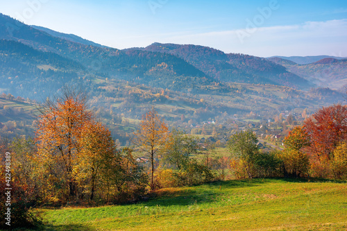 mountainous rural landscape in autumn. trees the edge of a hill in colorful foliage. sunny day with bright blue sky