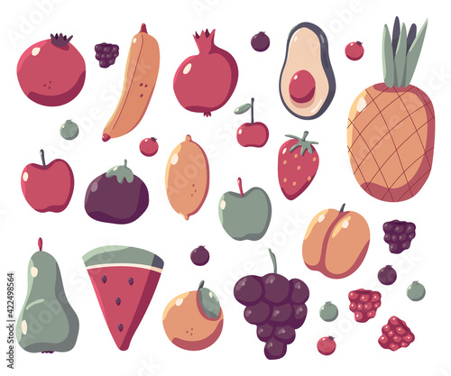 Summer fruits vector cartoon set isolated on a white background.