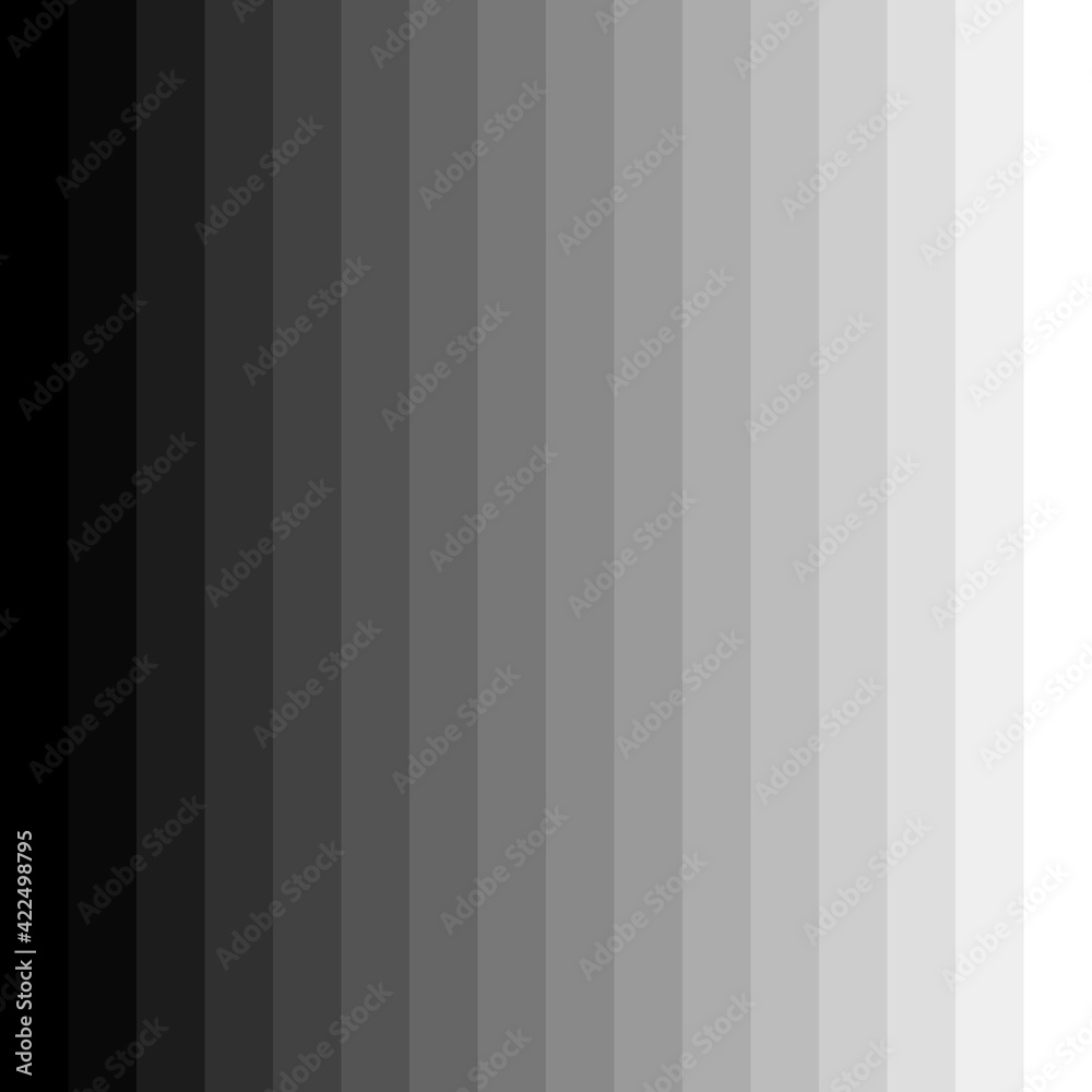 From Black To White Pattern. Range Of Black And White. Vector.