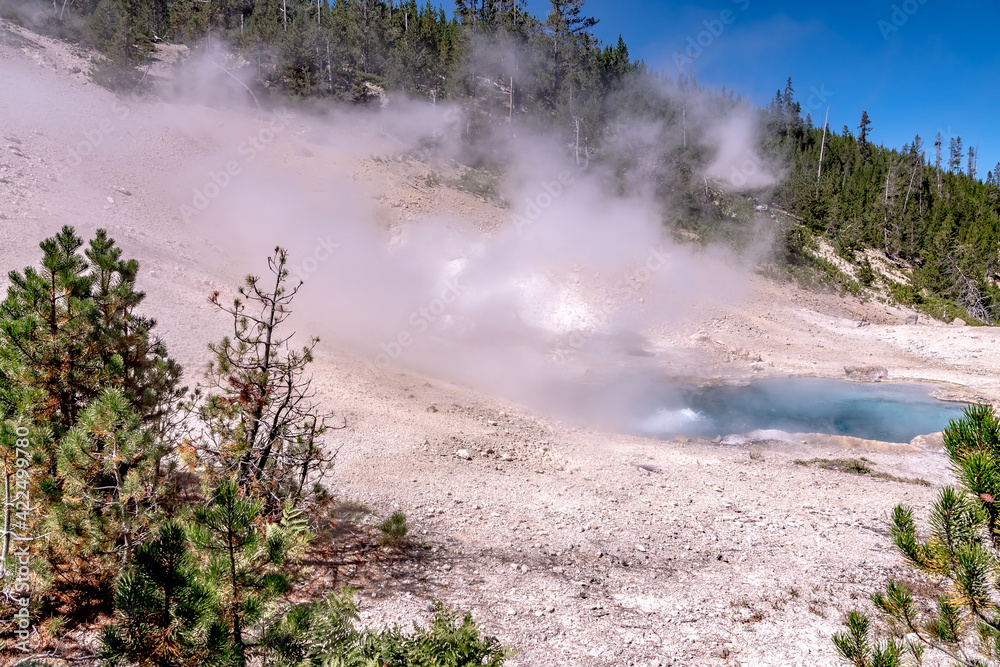 beautiful scenery at mammoth hot spring in yellowstone beautiful scenery at mammoth hot spring in yellowstone