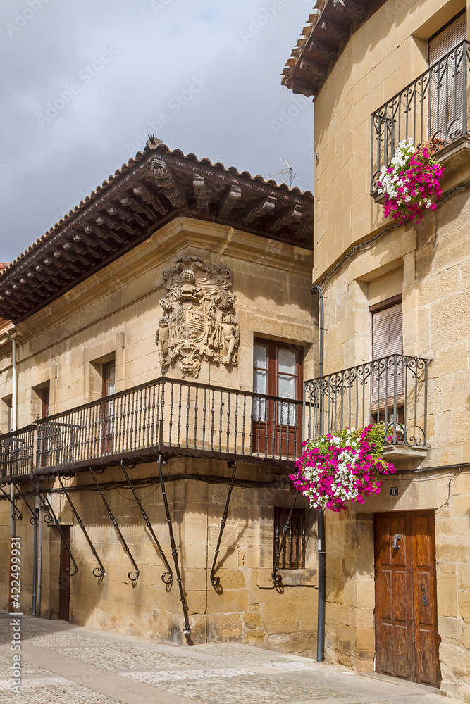 Elciego town dedicated to vituculture in Spain
