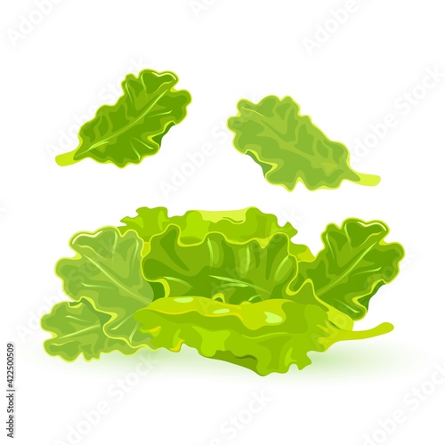 Cartoon of fresh healthy ingredient for salad cooking, organic vegetarian nutrition. Vector ripe veggie full of vitamins. Concept of natural farm food and agriculture isolated on white