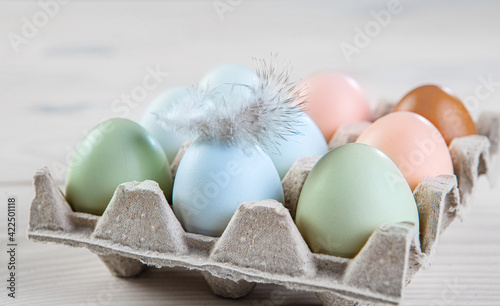 Fresh chicken organic eggs different colors and a feather in paper tray. Natural green, blue, pink and brown eggs. photo