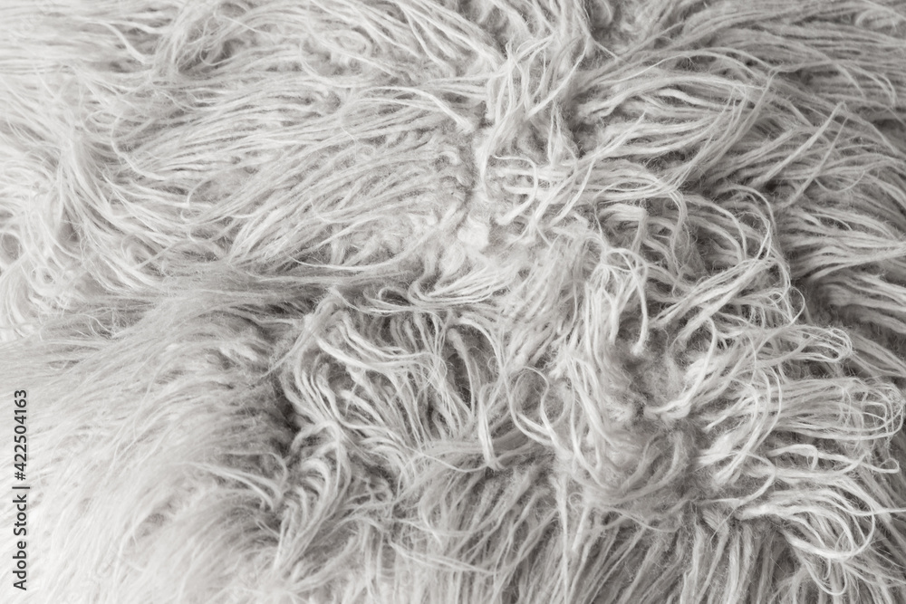 Obraz premium White long haired sheepskin close-up background