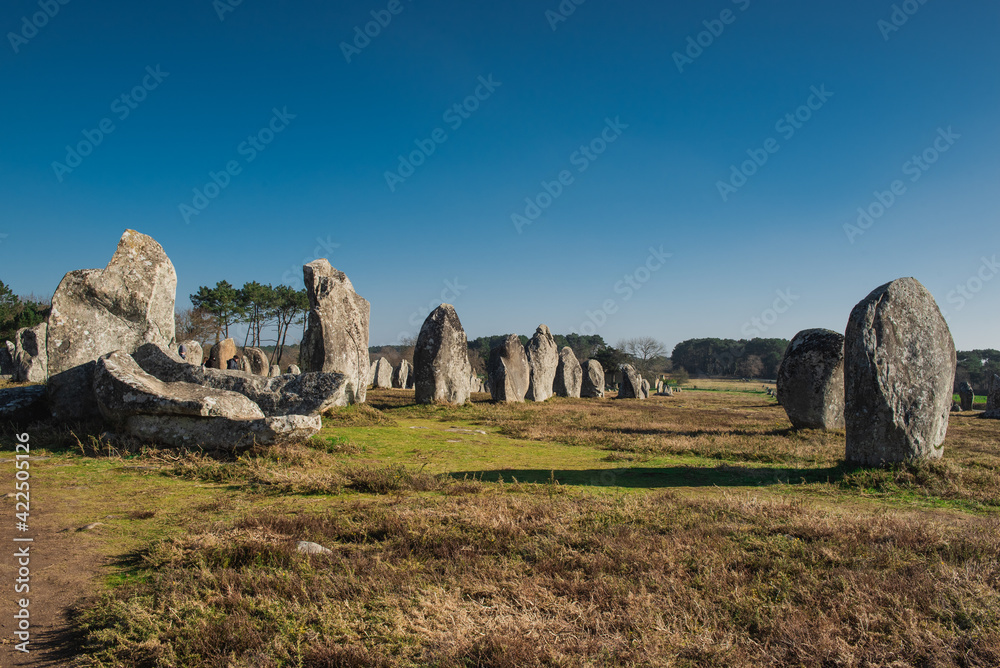 Kermario menhirs are part of the largest alignement of Carnac