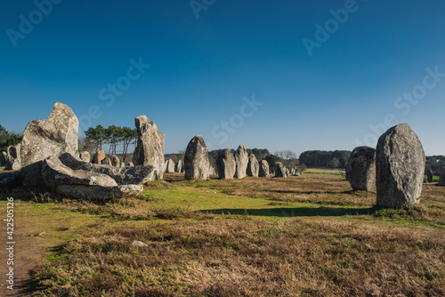 Kermario menhirs are part of the largest alignement of Carnac