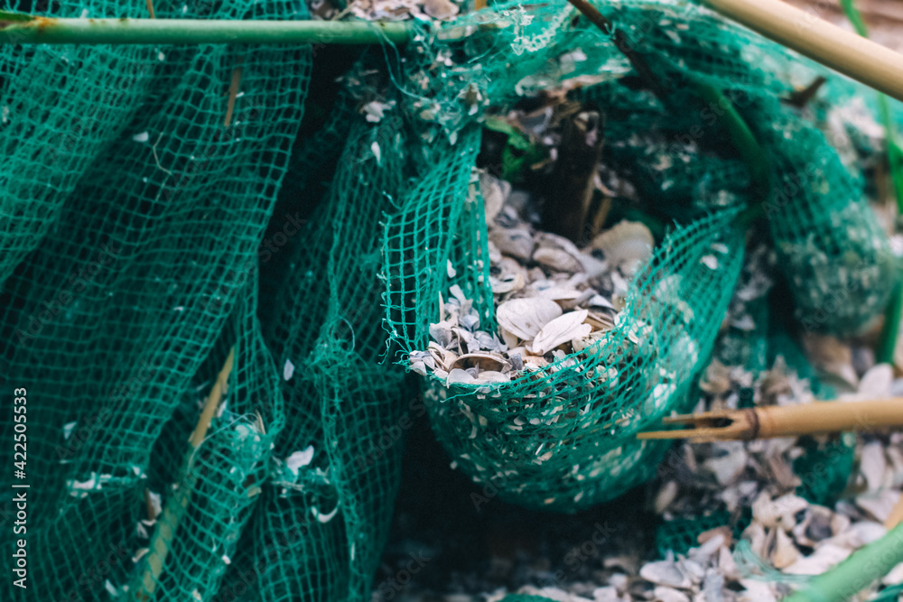 An old green fishing net is torn apart, covered in shells. The blurred  edges of the