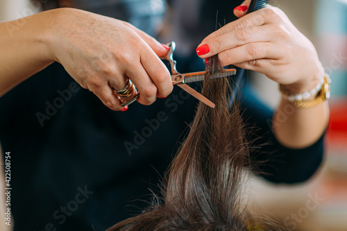 Close-Up of A Hairdresser's Hands