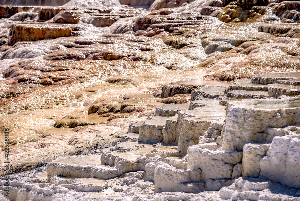 Travertine Terraces, Mammoth Hot Springs, Yellowstone Travertine Terraces, Mammoth Hot Springs, Yellowstone