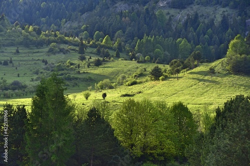 Pieniny Mountains, National Park, Poland