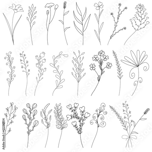isolated  sketch plants  grass  flowers hand-drawn  collection  set