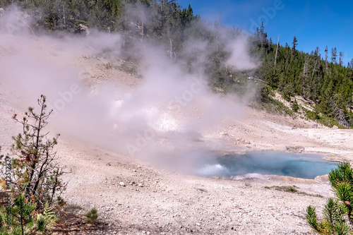 beautiful scenery at mammoth hot spring in yellowstone © digidreamgrafix
