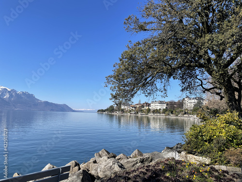 Closeup shot of the Geneva lake in Clarens, Montreux, Switzerland