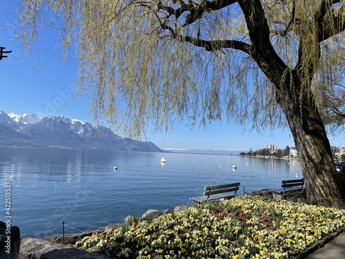 Closeup shot of the Geneva lake in Clarens, Montreux, Switzerland