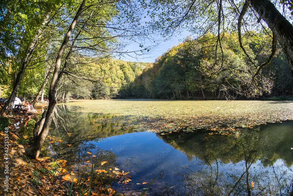 Autumn landscape beautiful colored trees,  autumn leaves over the lake, glowing in sunlight. wonderful picturesque background. Colors in nature gorgeous view. Yedigöller, Bolu, Turkey