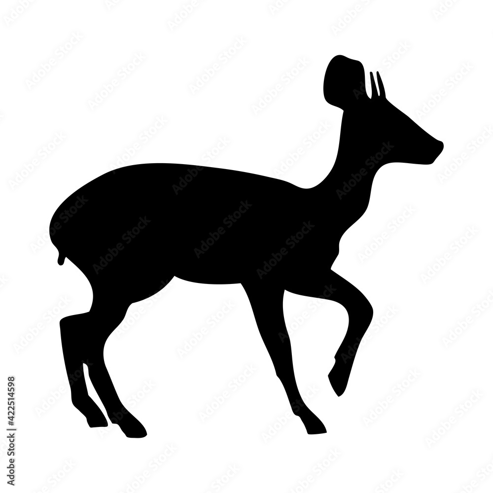 Obraz premium Oribi Antelope Silhouette