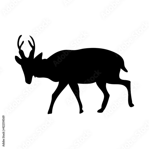 Muntjac Deer Silhouette