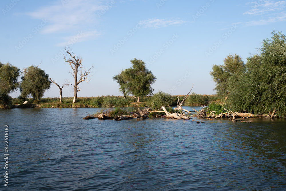Fototapeta premium boats on the river