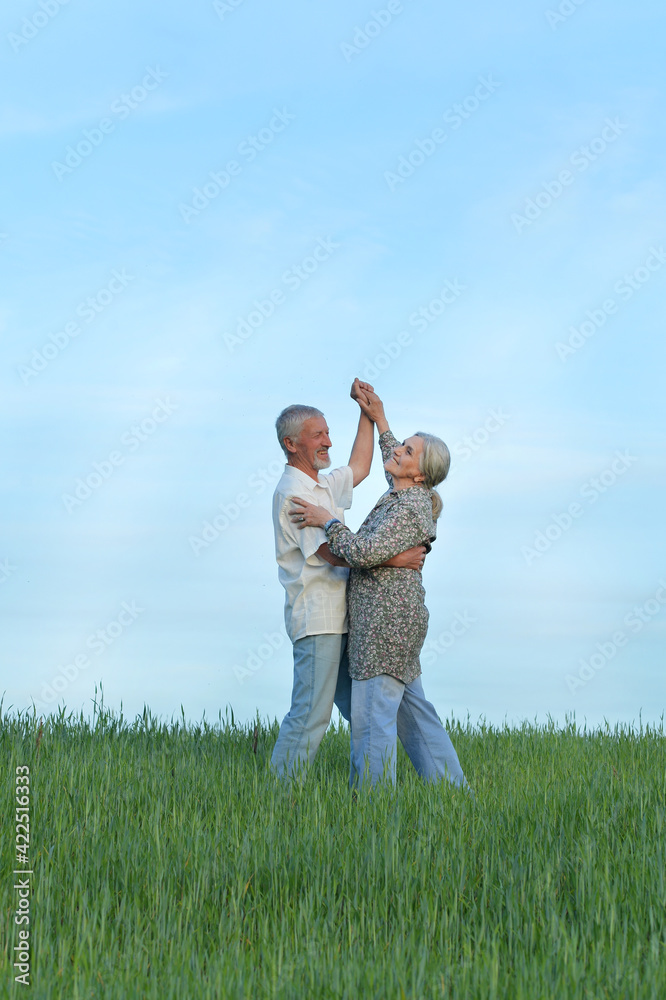 portrait of beautiful senior couple dancing in park portrait of beautiful senior couple dancing in park