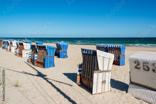 Standk  rbe an einem feinen Sandstrand an der Ostseek  ste von Schleswig-Holstein