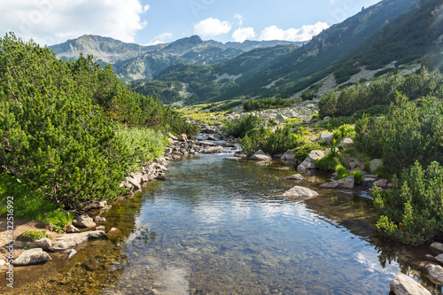 Landscape with Banderitsa River, Pirin Mountain, Bulgaria photo