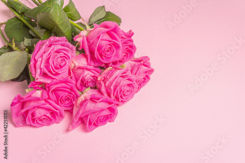 A bouquet of gentle pink roses isolated on rosy background