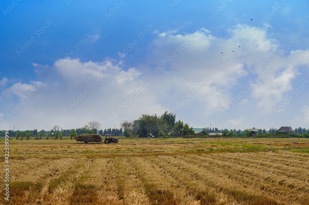 side view tractor hauls straw in the white clouds and blue sky background, nature, copy space