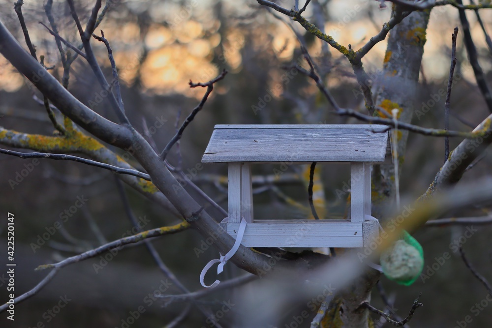 One Birdhouse on Bare Tree in Forest. Wooden Birdfeeder in Woods. Bird House in Nature.