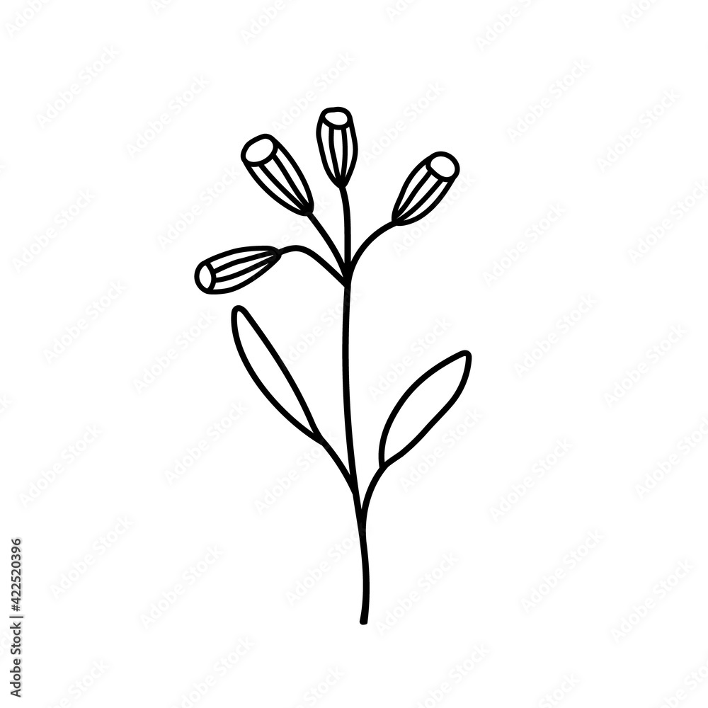 Hand drawn vector illustration of blooming meadow wildflower. Logo design element for summer spring Easter concept