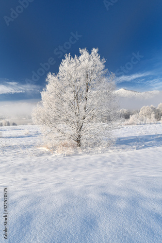 富良野の冬 © 聡 足立