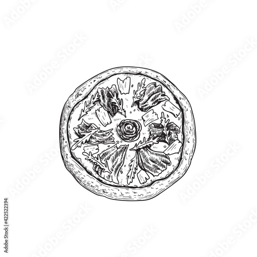 Hand drawn sketch style Prosciutto crudo pizza. Top view. Traditional Italian cuisine. Dough, tomato sauce,  melted cheese, prosciutto ham, parmesan and arugula leaves. 