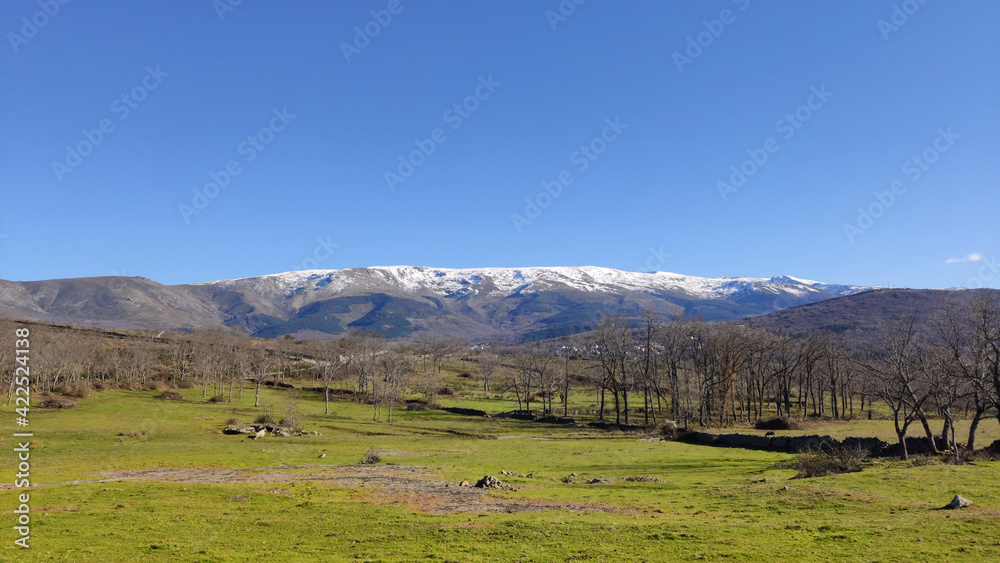 Landscape of a meadow with the Sierra Nevada in the background
