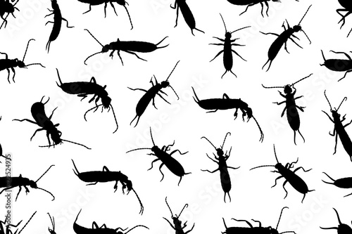 Earwigs seamless illustration isolated on white
