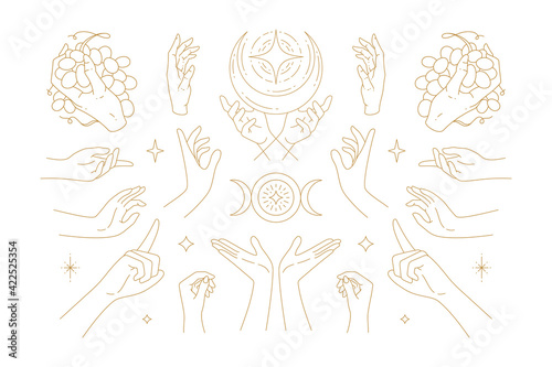 Female hands gestures collection of line art hand drawn style vector illustrations