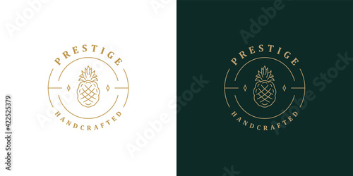 Elegant pineapple logo template linear vector illustration