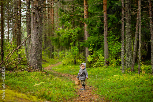Three-year-old boy walks in the woods with a basket, selective focus