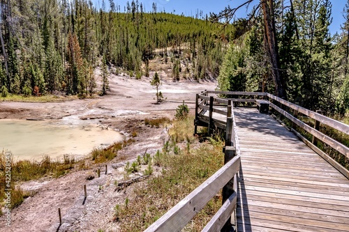 beautiful scenery at mammoth hot spring in yellowstone