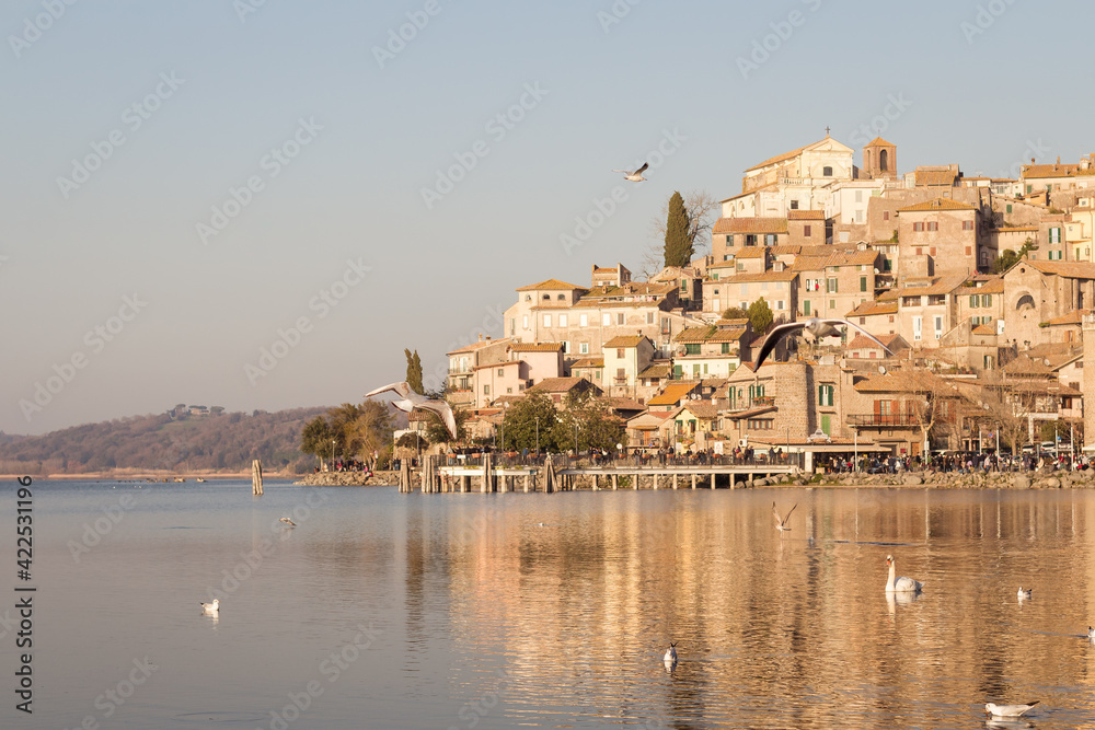 flock of seagulls on lake Bracciano in Italy