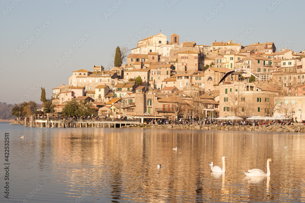 flock of seagulls on lake Bracciano in Italy flock of seagulls on lake Bracciano in Italy