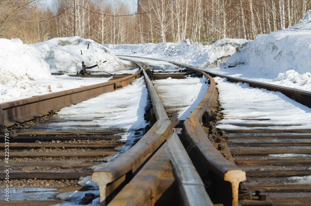 railway tracks in winter next to trees railway tracks in winter next to trees